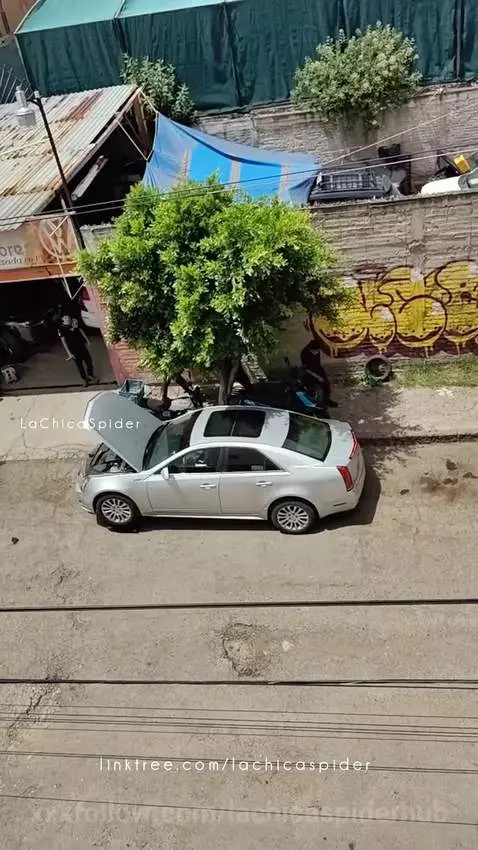 Me encanta que me vean 🤤🤤🤤 by lachicaspiderhub