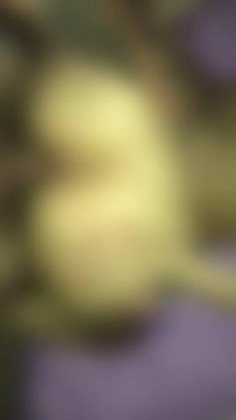 🍑🥵 by mauinkedskin