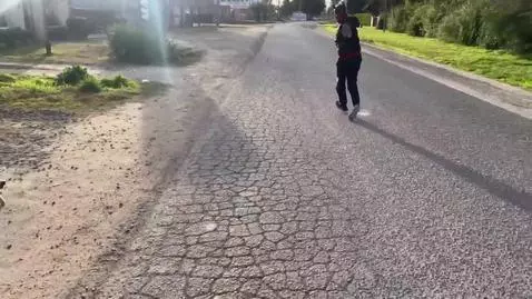 Un perrito obediente suelto en el barrio 🐶 by michohindu