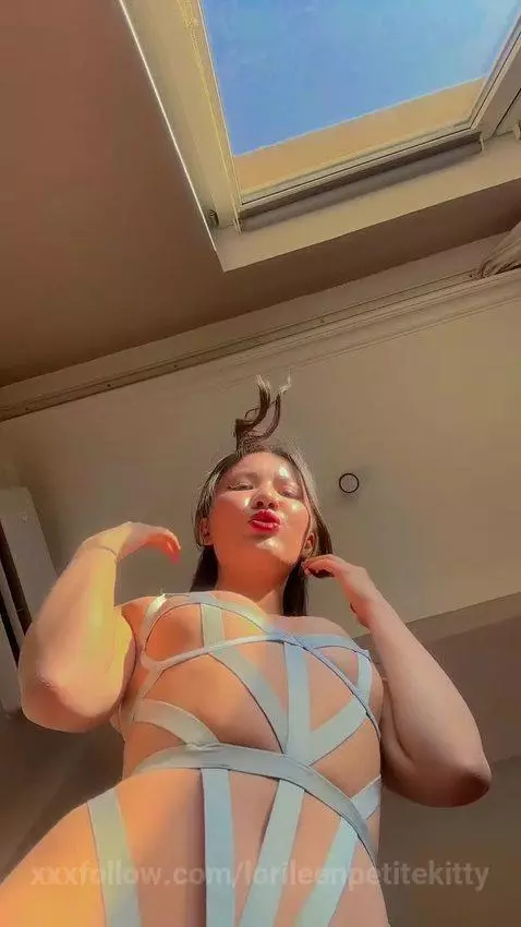 let’s make your face my personal chair by lorileenpetitekitty