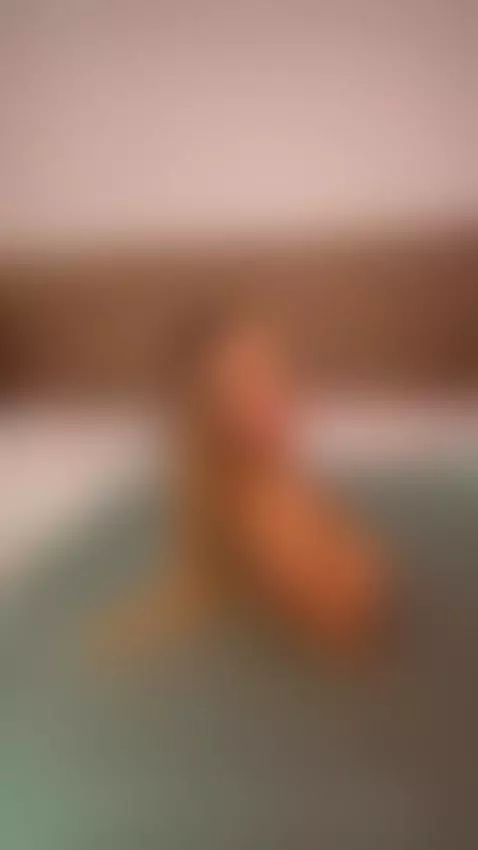 Do you like big tits? 😈
Te gustan las tetas grandes? 😈 by pamelaxpicetv