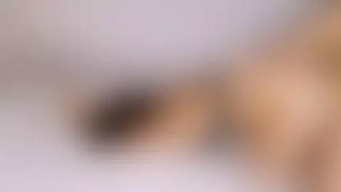 fucking in doggystyle by lunamielcita