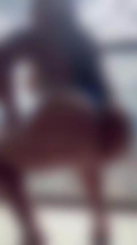 ❤️🤤 by camilbs