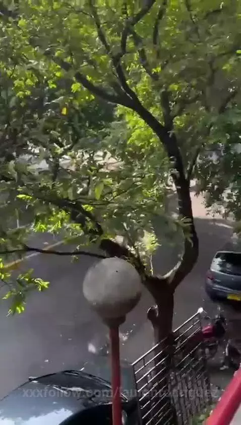 ups by laurenrodriguez