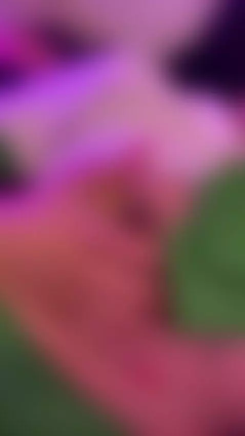 do u like my boobs? by akari1-mischief