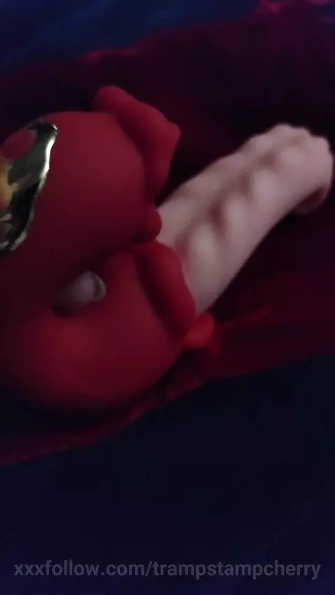 Video by trampstampcherry