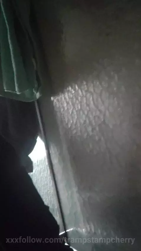 love walking in..... while by trampstampcherry