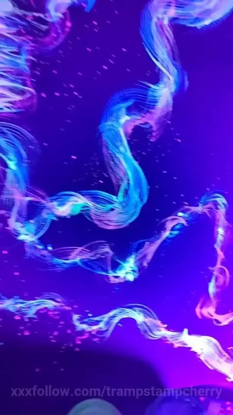 im an artist.. show support..tips!!! subscribe! by trampstampcherry