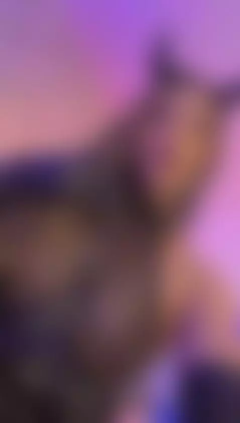 lingerie, leather, latex by klaiir