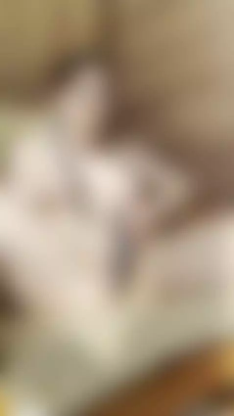 Buzzing on my pussy... but dreaming about your cock by sturluson