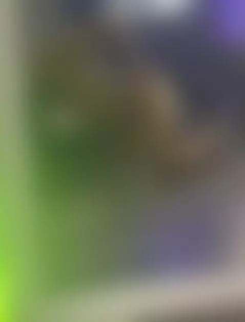 I'm your bitch😈🥵 by sirius-s