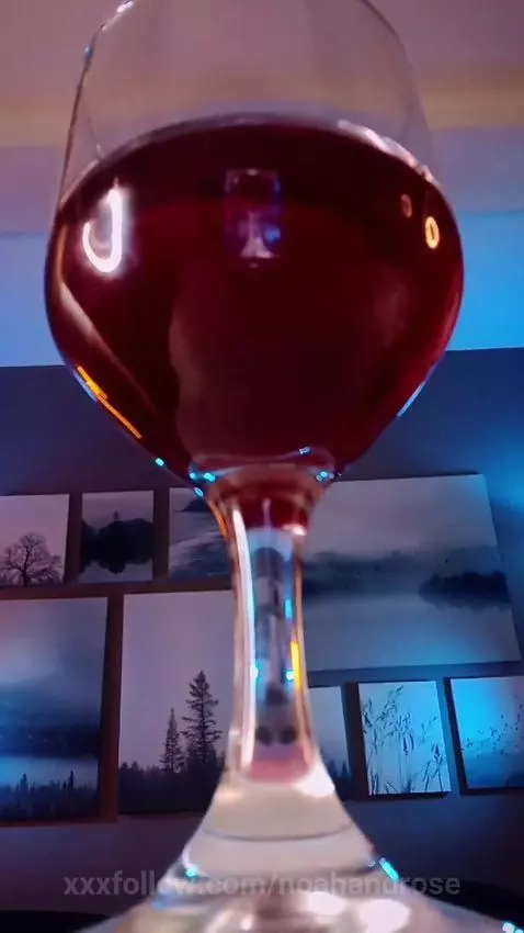 🍷 Let's have a glass of wine and then go to bed for an orgas... by noahandrose