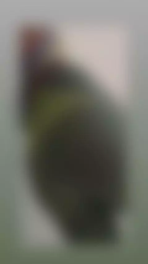 Yendo al gym para sacar mas culo oara ti 🍑 / Going to the gy... by yourdemond