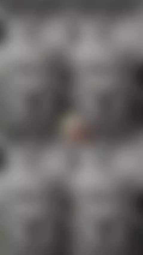 If you would like a video call with me, please ask for the n... by yourdemond