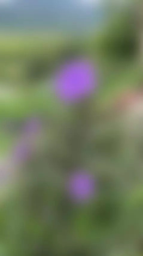 Travels by cryptobits