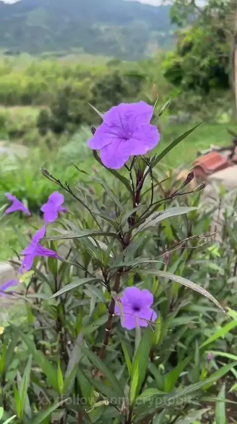 Travels by cryptobits