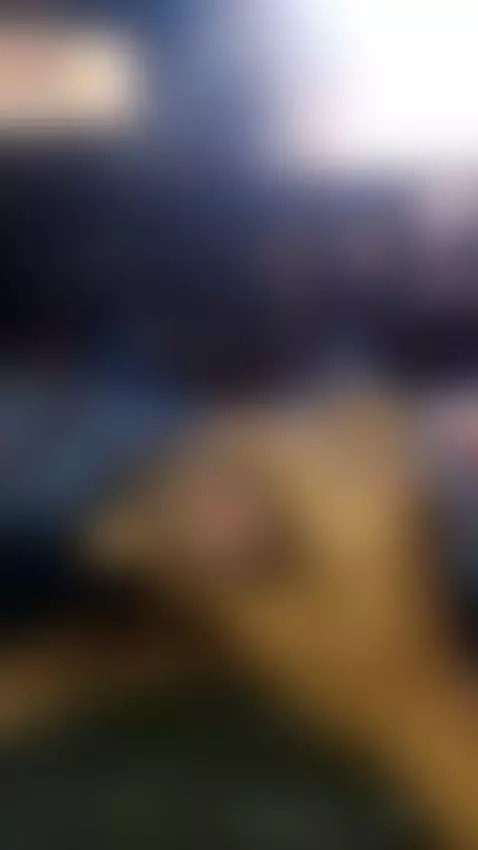 delicia by lyricalhomage