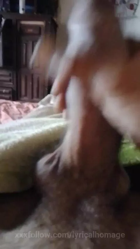 morningxxx by lyricalhomage