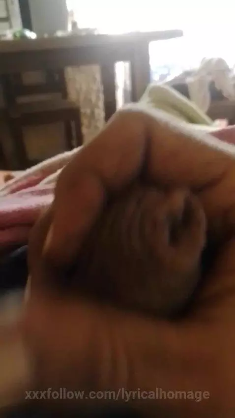 pemsando en ti me pone cachondo by lyricalhomage