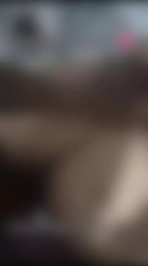 completo en mi página de telegram VIP by drivabletonic