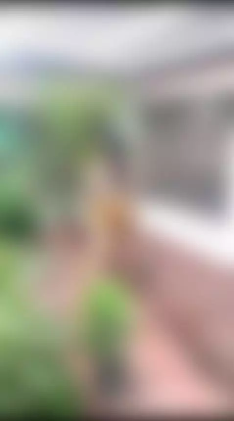 lol by luciana-montero