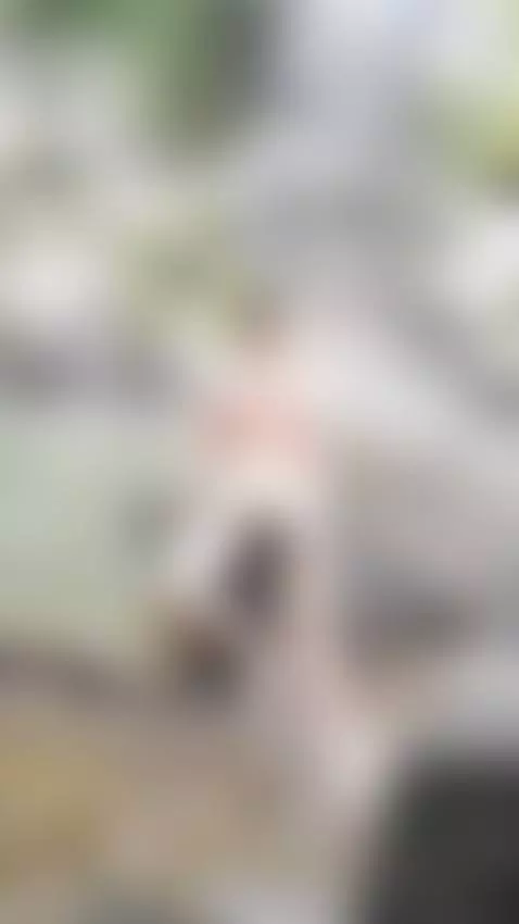 in the river by alexdisney