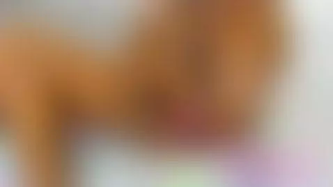 A brief fuck how hard this is in my living room! 😏🍭 by lola-hornei