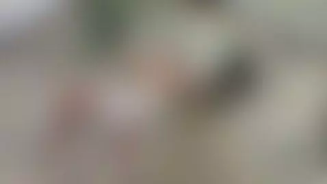 Only fans
Onlyfans.com/Elshamanxxx
9inches 🍆 sexy body 💪 🦿 m... by elshamanxxx