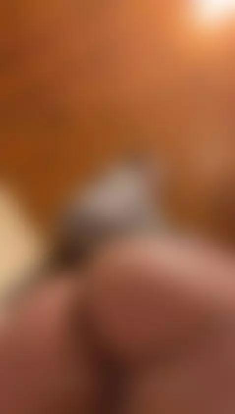 let me sit in your face? by gretta-doll