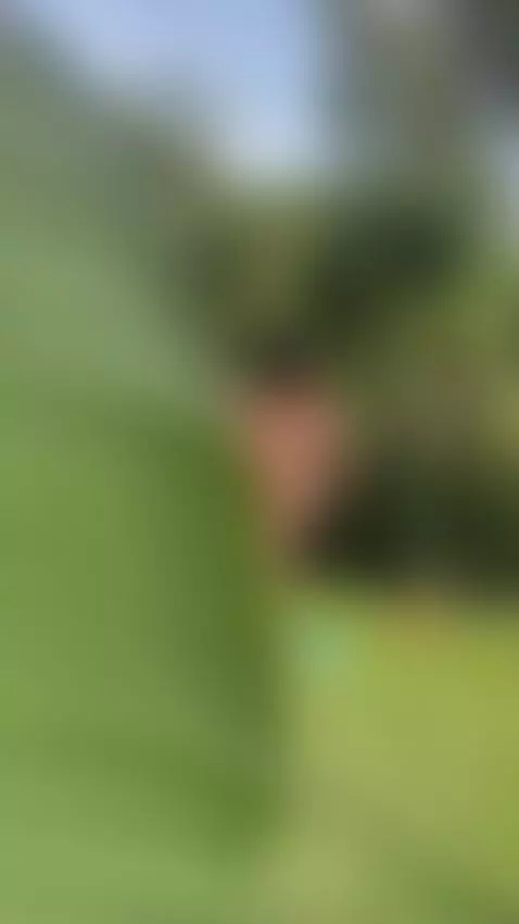 I'm having an affair with my best friend's girlfriend, I thi... by cataleyateylor