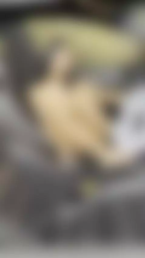 Nature ❤️ by cataleyateylor