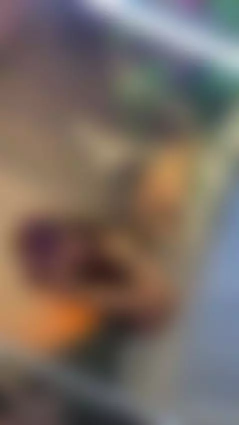 love this song  ✨💕 Link in bio by elissecinnamon