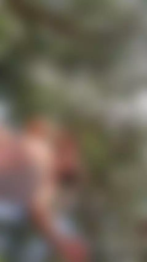 una buena vista en la naturaleza by scarlettandclark