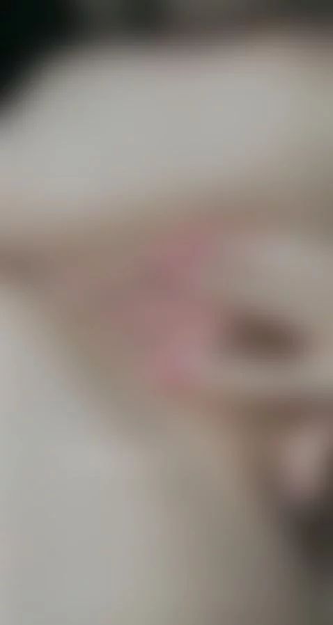 Load Here by surecakes