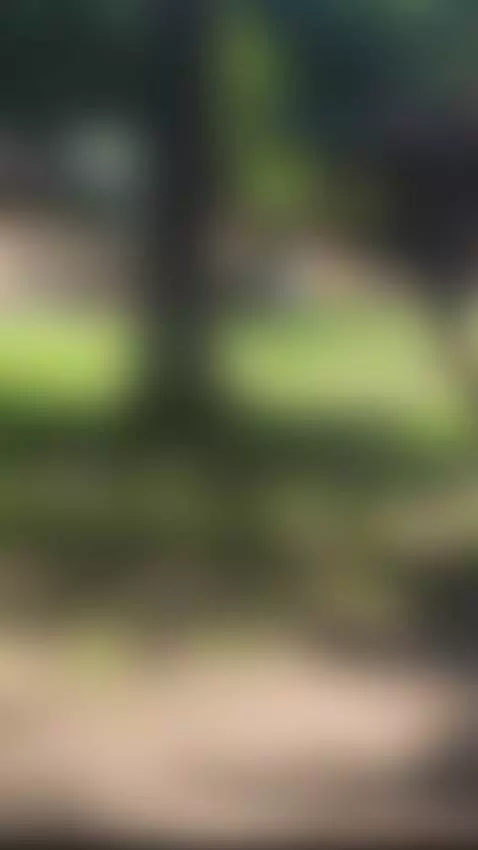 link on bio by zferrer