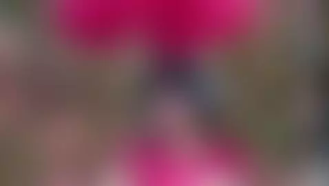 with you heart by sabinamerchetti