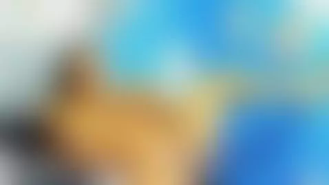 My pussy is beating honey, what can we do with those jets!😈 by athenea-miills