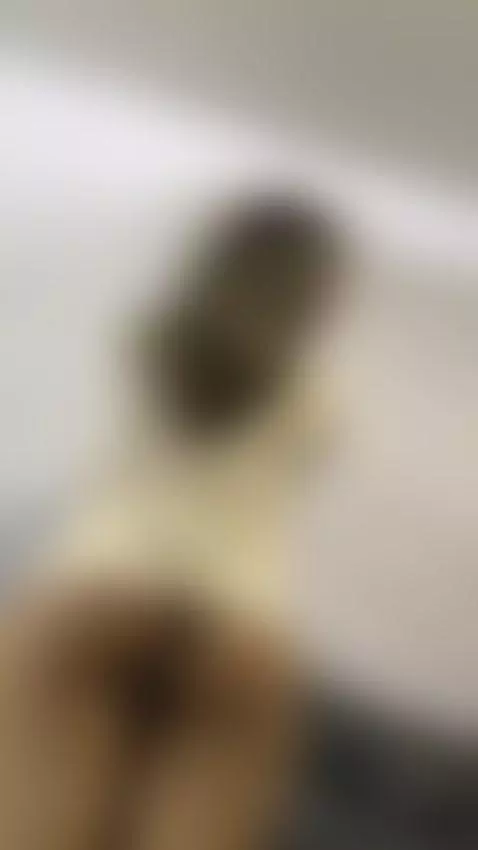 🍑🍑🍑 by alicesimpson1