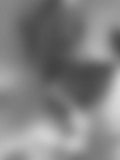 kiss me by liberty-herrera