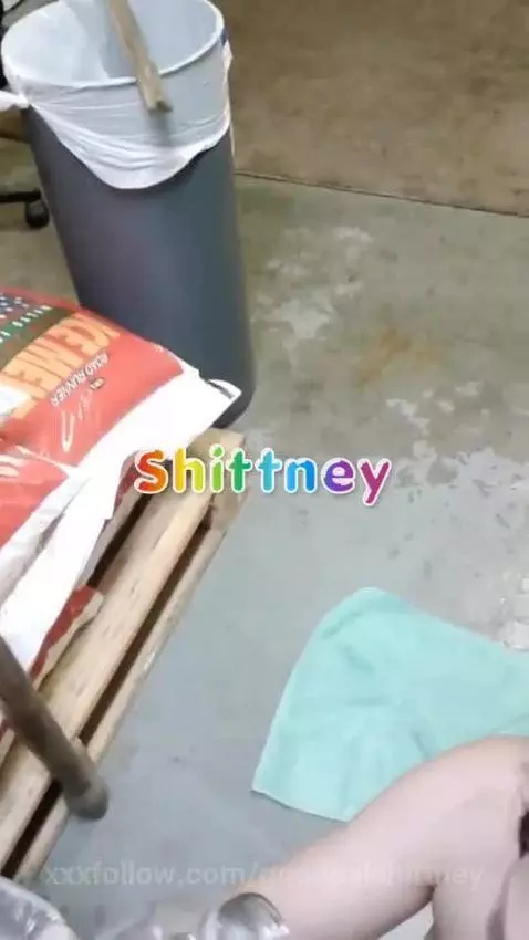 Your Good Pal Shittney Fucking in wallick communities office... by goodpalshittney