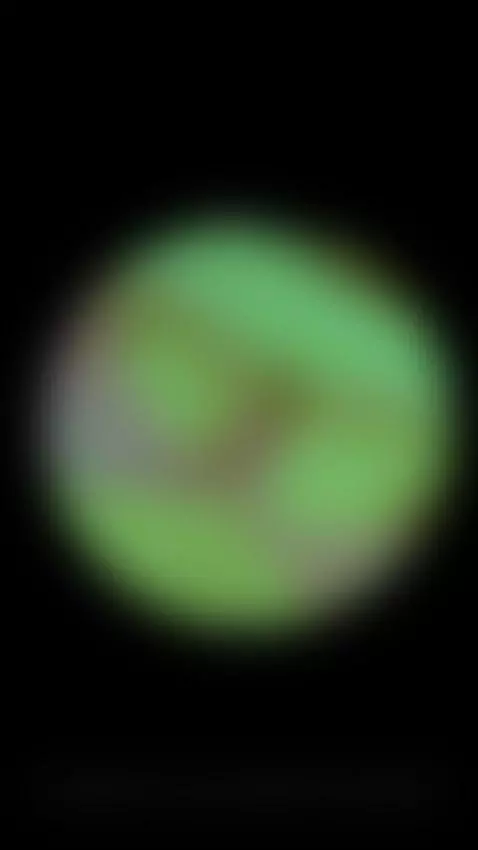 😁 by violeth-rammtein