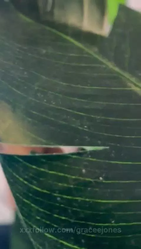 I want a lot of naughtiness in my chat, I will make you horn... by graceejones