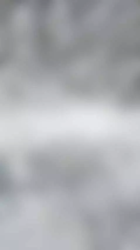 Who else is like this? by posyaflowercake