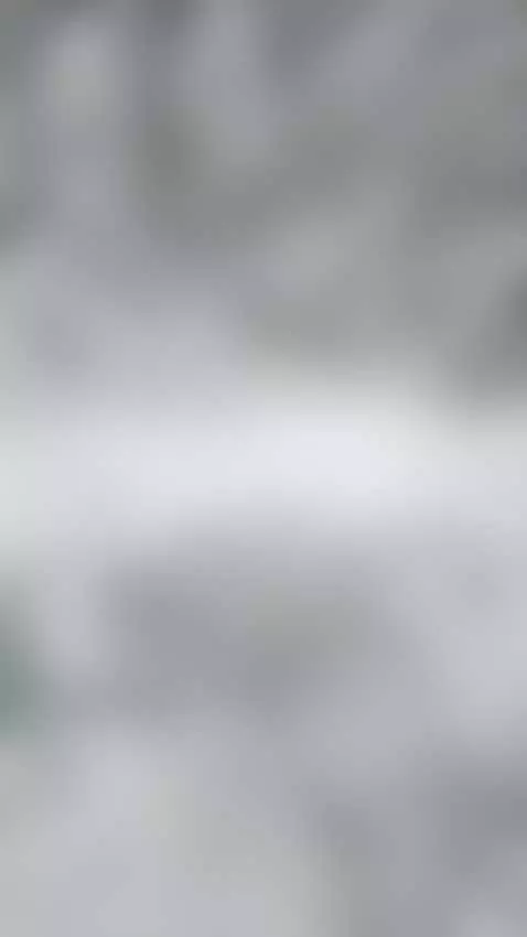 Me every time I try to sleep: by posyaflowercake