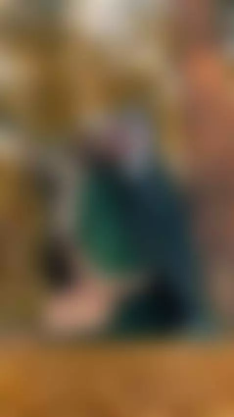 The forest elf in a magic world. new photoset on manyvids. by sofielfqueen