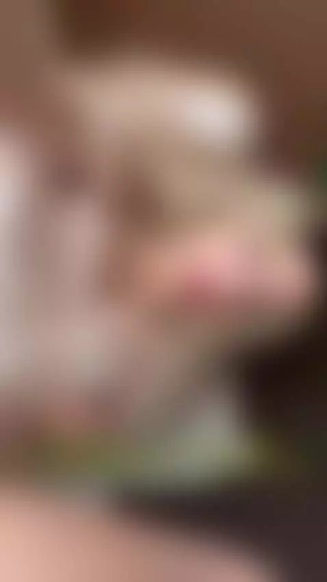 Me when he is a short king loves gaming and is a little bit ... by loraelfgirl