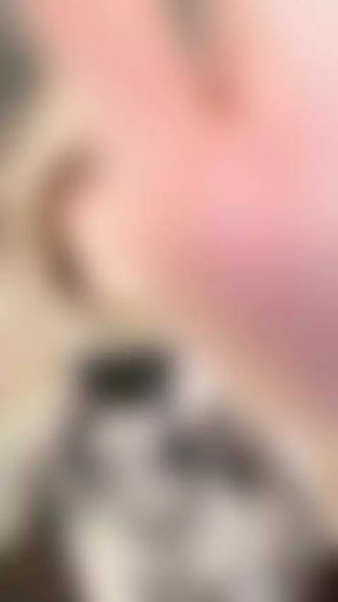 New set is already up ✨ by loraelfgirl