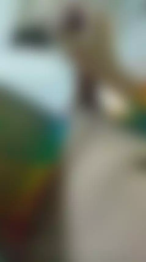 my cock by regiina-doll