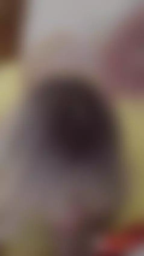 Hot Stepmom Sucks Stepson's Cock by olxredfox