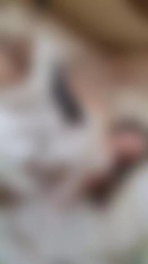 I bet you want to see what's under my sheets. by eliencafeof